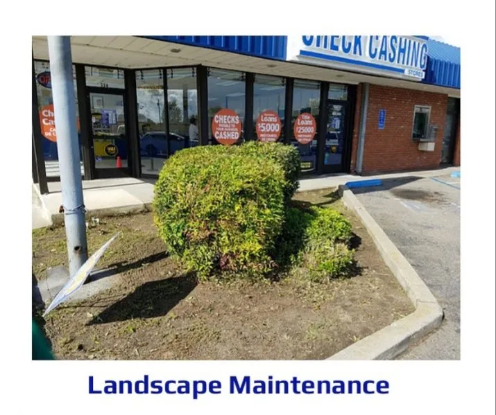 Reliable yard cleanup service for year-round maintenance in Lodi, CA by Property Proz Site Services