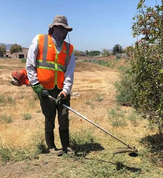 Affordable landscape design for residential properties across Lodi, CA - Property Proz Site Services