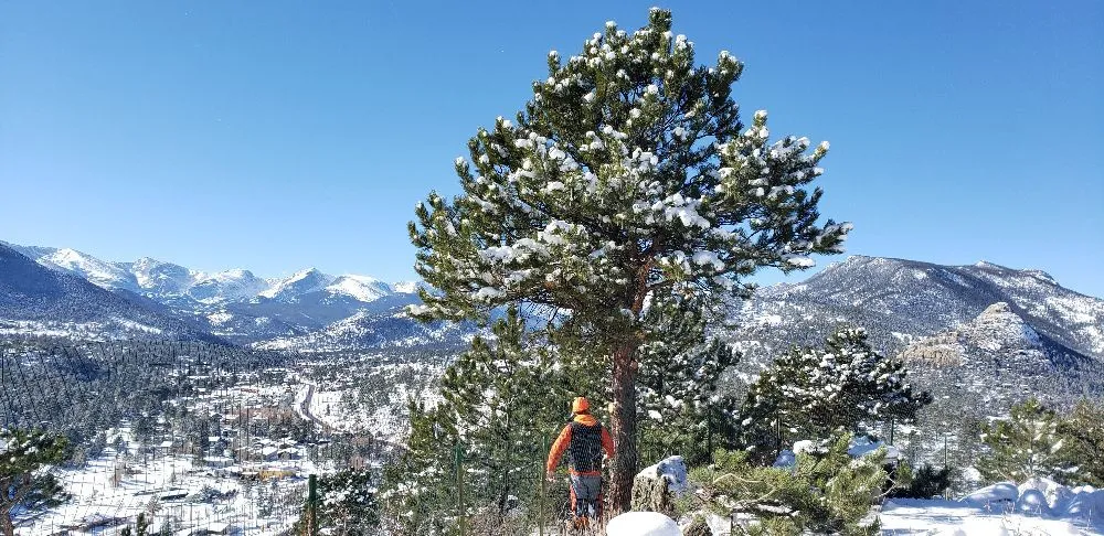 Local lawn care service experts serving Estes Park, CO - Property Pruners