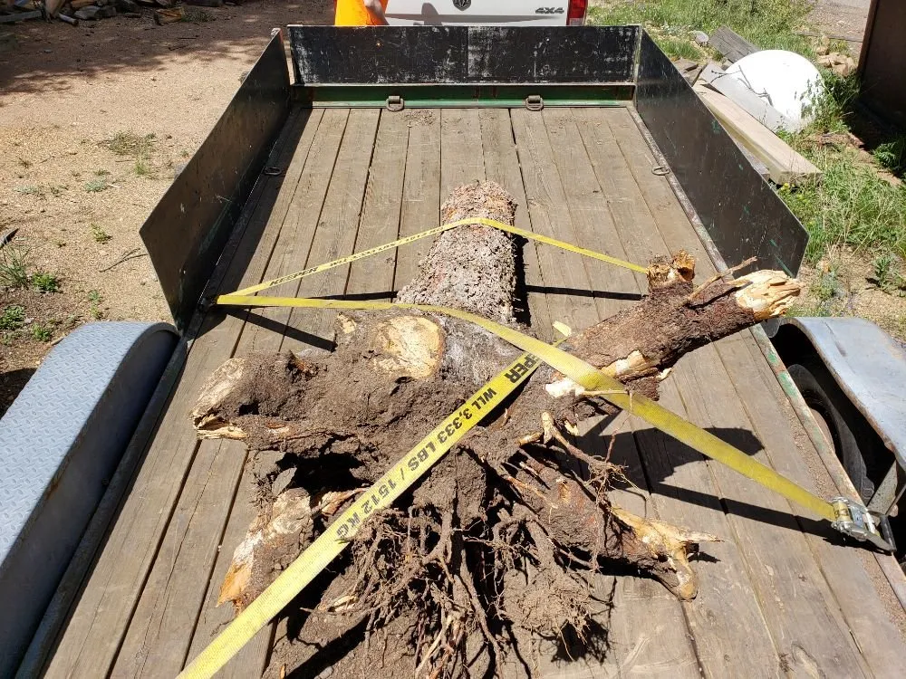 Local outdoor landscaping with custom design across Estes Park, CO - Property Pruners