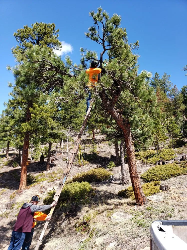 Trusted residential landscaping with custom design across Estes Park, CO - Property Pruners