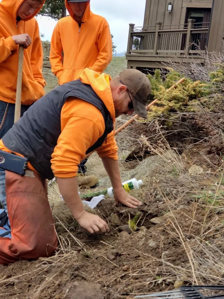 Expert residential landscaping for beautiful yards across Estes Park, CO - Property Pruners