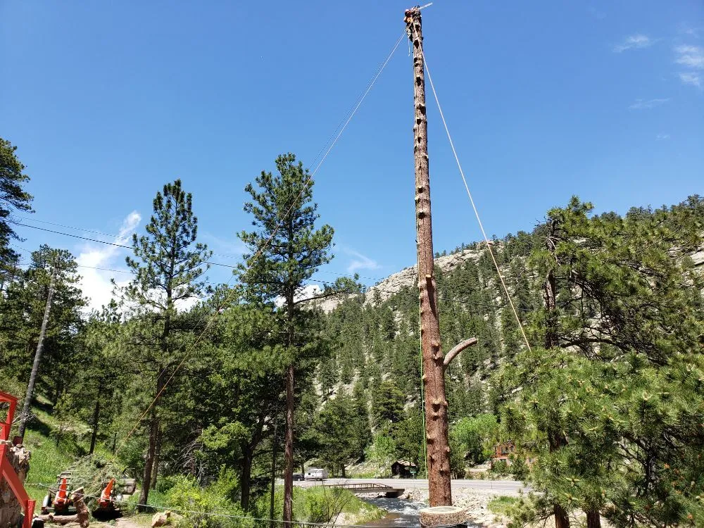 Custom yard cleanup service in Estes Park, CO - Property Pruners