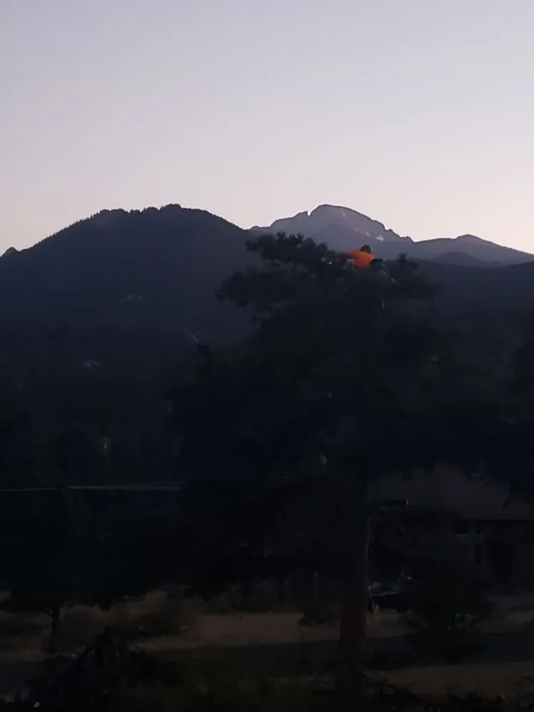 Expert landscaping services experts serving Estes Park, CO - Property Pruners