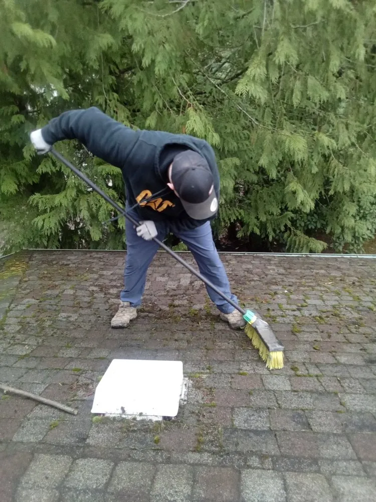 Professional lawn care service in Des Moines, WA - Property Pulse