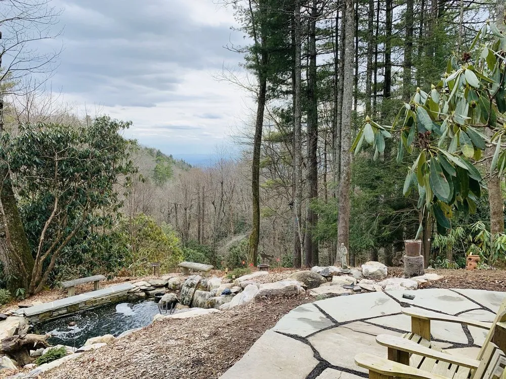 Professional lawn care service for year-round maintenance across Lenoir, NC - Property Renovators