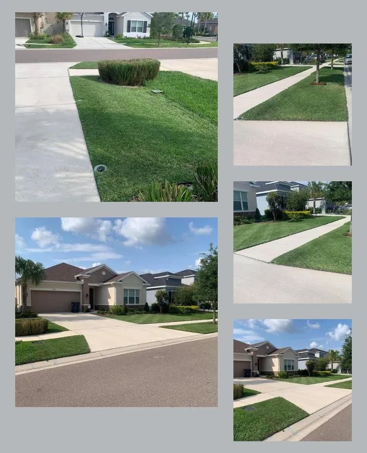 Local outdoor landscaping in Orlando, FL - Property Service Master
