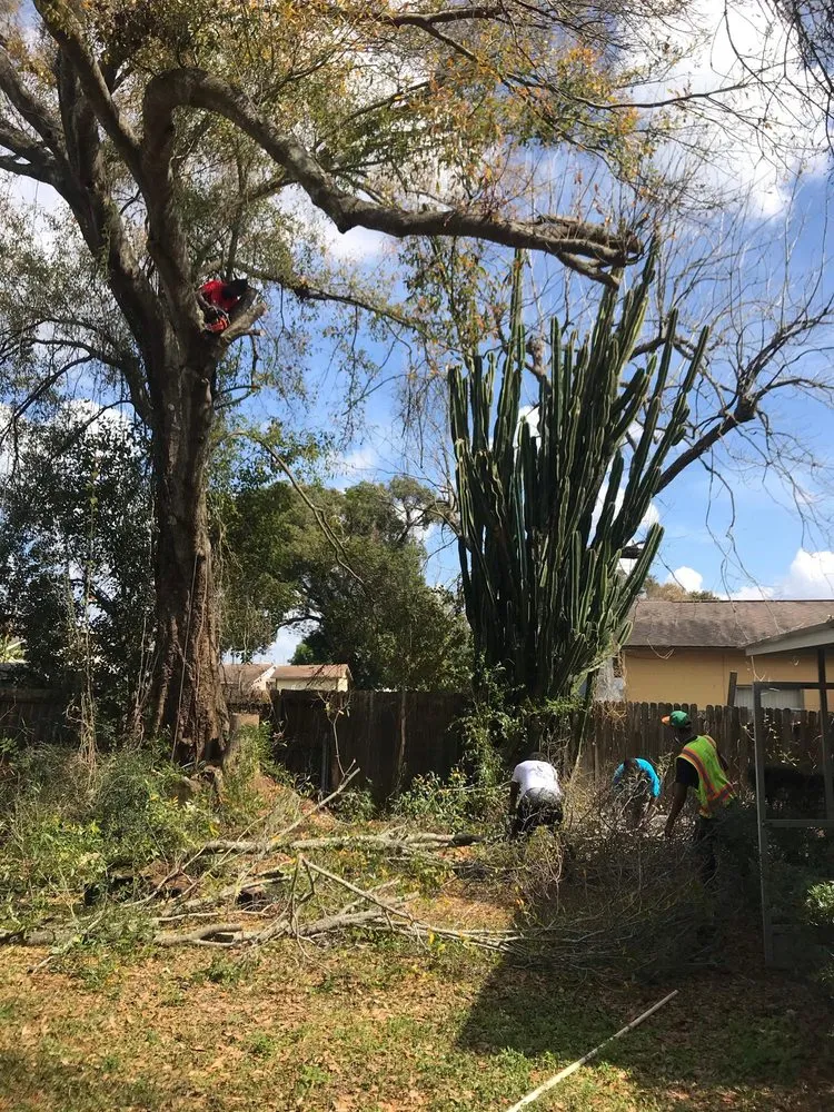 Professional landscaping services in Orlando, FL by Property Service Master