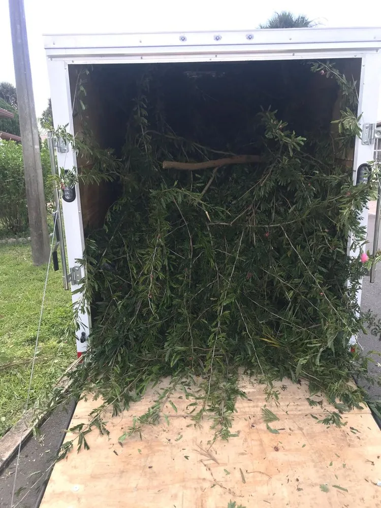 Top-rated landscape design in Orlando, FL - Property Service Master