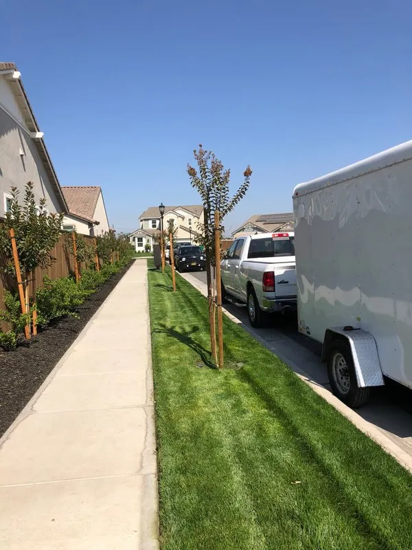 Top-rated yard cleanup service experts serving Orlando, FL - Property Service Master