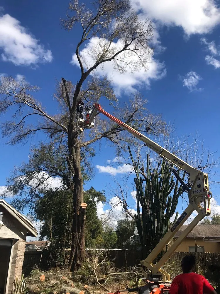 Trusted lawn care service in Orlando, FL - Property Service Master