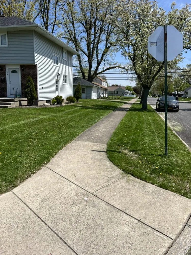 Expert yard cleanup service in Buffalo, NY - Property Services Of Buffalo