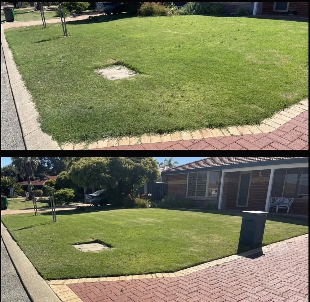 Expert lawn care service in Buffalo, NY by Property Services Of Buffalo