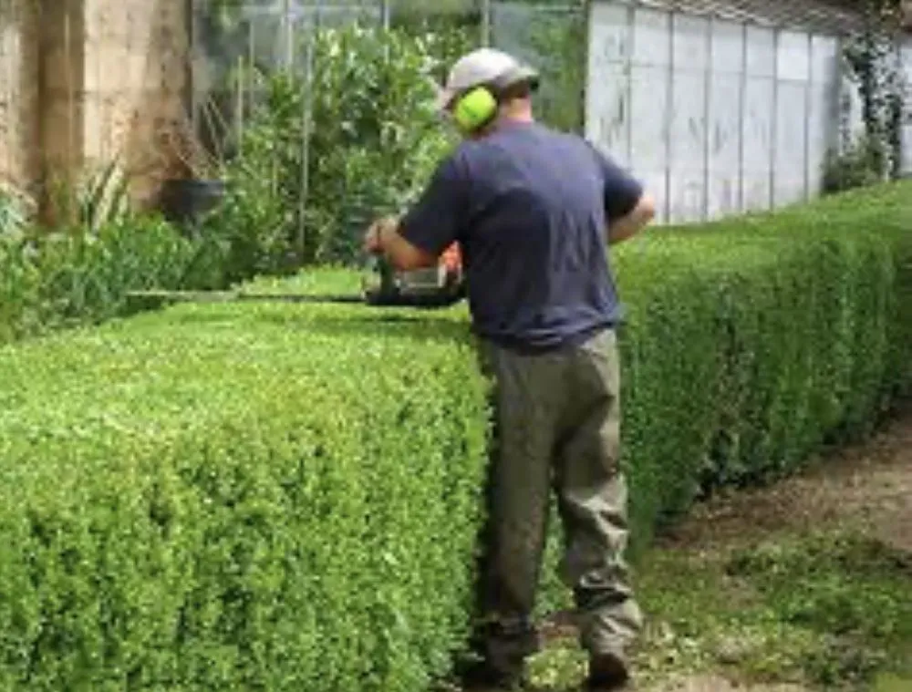 Reliable landscape installation with custom design across Buffalo, NY - Property Services Of Buffalo