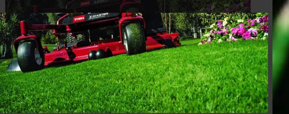 Affordable yard cleanup service in Buffalo, NY by Property Services Of Buffalo