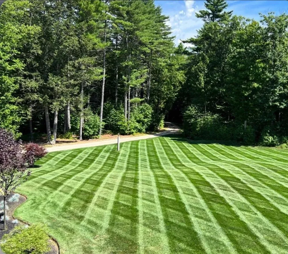 Trusted landscape design in Buffalo, NY - Property Services Of Buffalo
