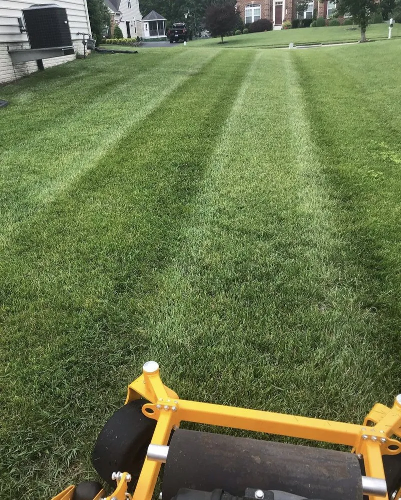 Top-rated garden landscaping experts serving Buffalo, NY - Property Services Of Buffalo