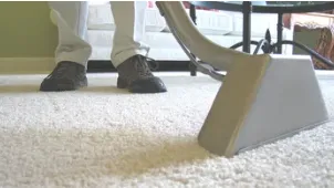 Local yard maintenance in East Peoria, IL - Property Solutions & Junk Removal