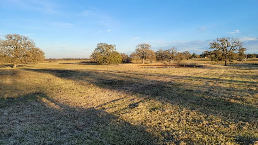 Reliable lawn care service experts serving Kemp, TX - Property Solutions