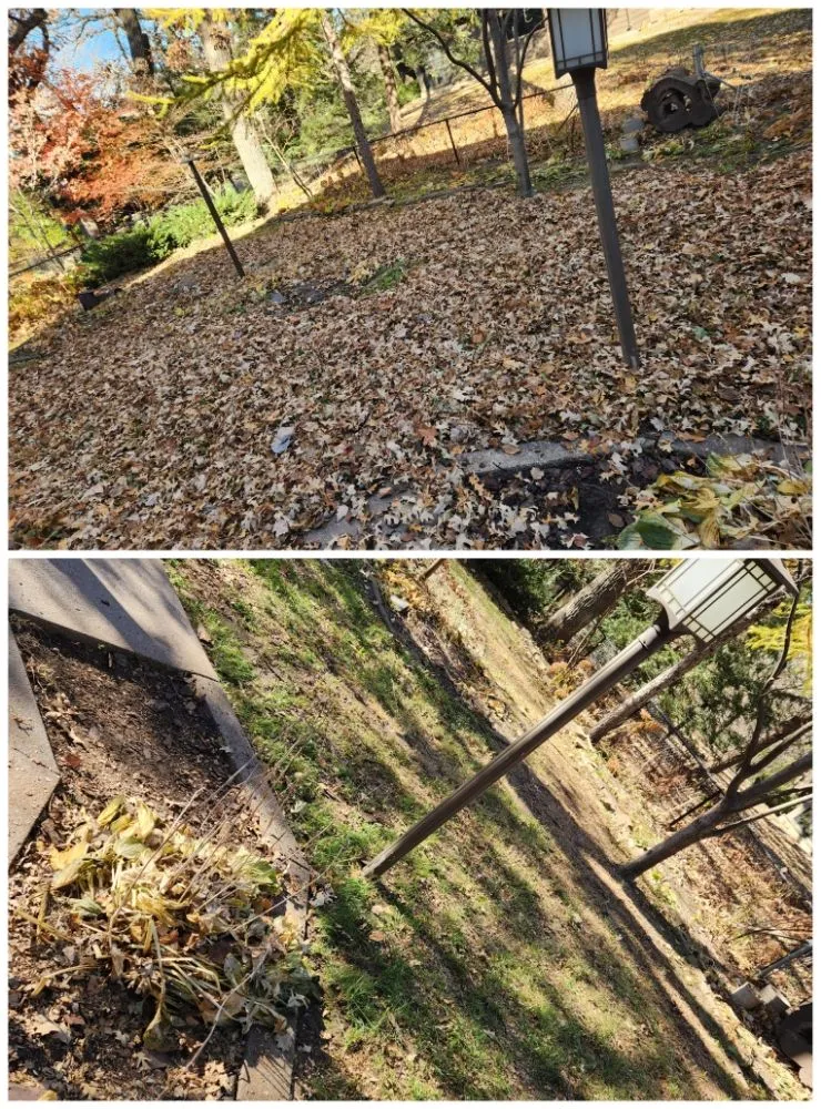 Local landscape installation experts serving Mason City, IA - Property Solvers