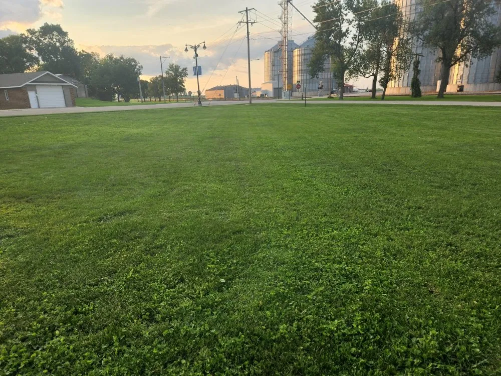 Professional outdoor landscaping for residential properties in Mason City, IA by Property Solvers