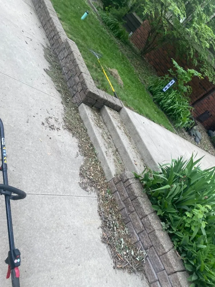 Top-rated lawn mowing service for beautiful yards in Mason City, IA by Property Solvers