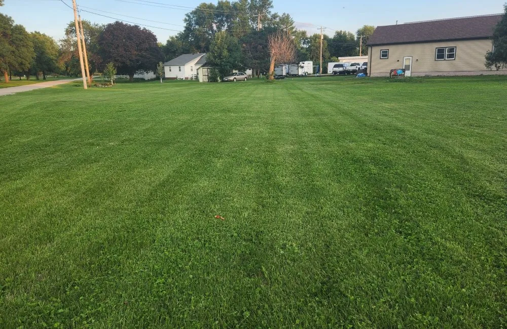 Trusted yard maintenance experts serving Mason City, IA - Property Solvers