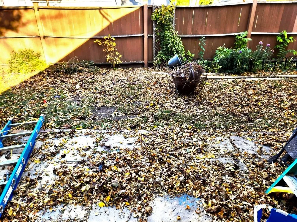 Expert garden landscaping in Mason City, IA - Property Solvers