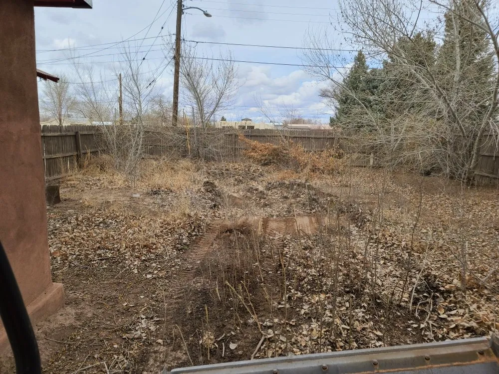 Trusted garden landscaping for outdoor upgrades in Albuquerque, NM by Property Specialist