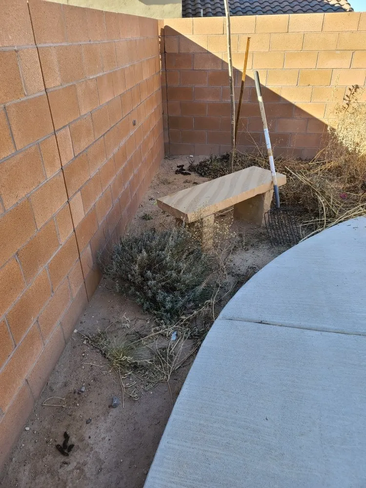 Custom yard cleanup service in Albuquerque, NM - Property Specialist