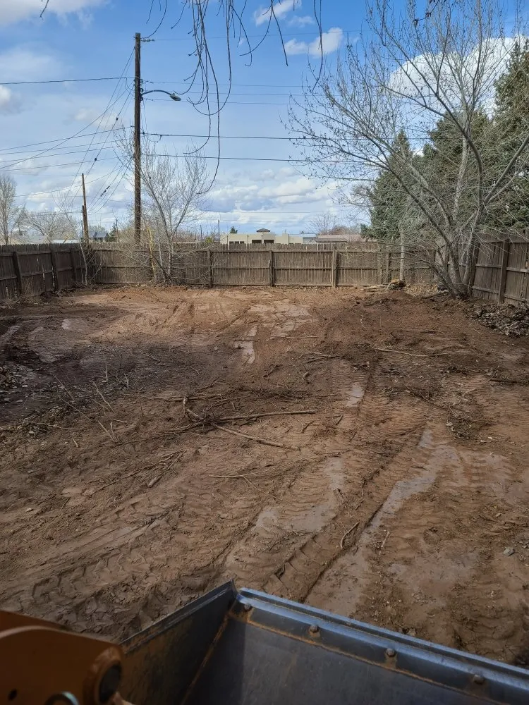 Affordable landscape design in Albuquerque, NM - Property Specialist