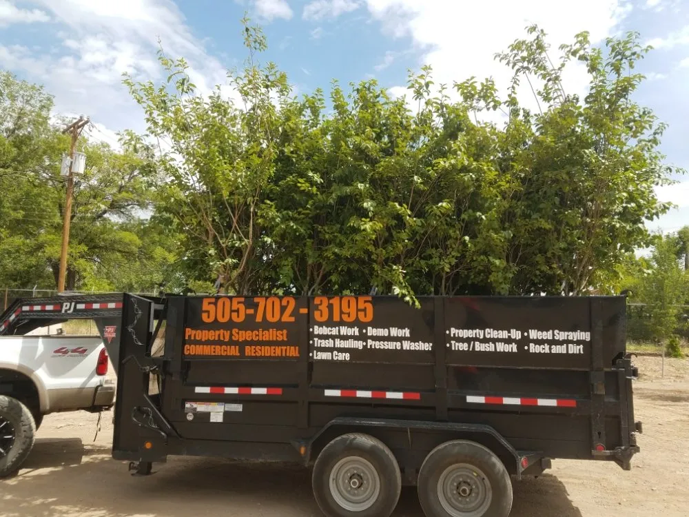 Top-rated landscape design with custom design in Albuquerque, NM by Property Specialist