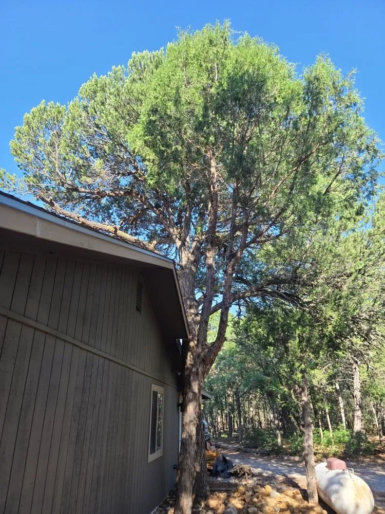 Reliable yard cleanup service experts serving Albuquerque, NM - Property Specialist