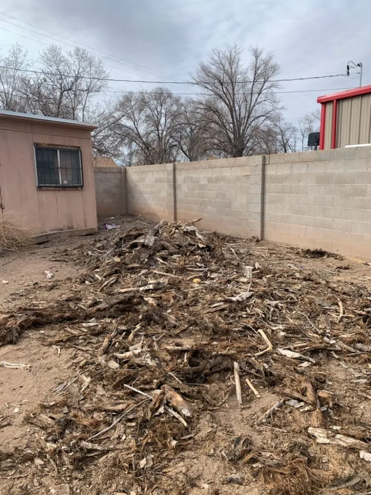 Professional landscape design for outdoor upgrades across Albuquerque, NM - Property Specialist