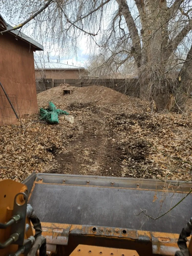 Top-rated garden landscaping for homes in Albuquerque, NM by Property Specialist