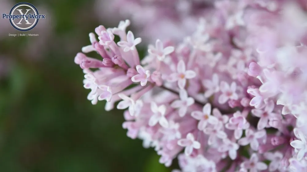 Custom garden landscaping experts serving Delaware, OH - Property Worx