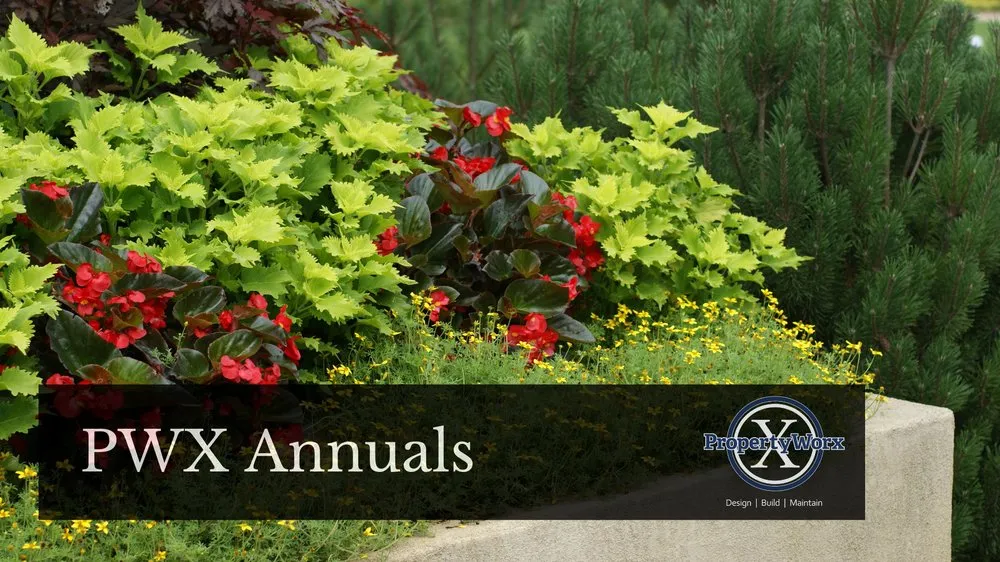 Professional landscaping services in Delaware, OH - Property Worx