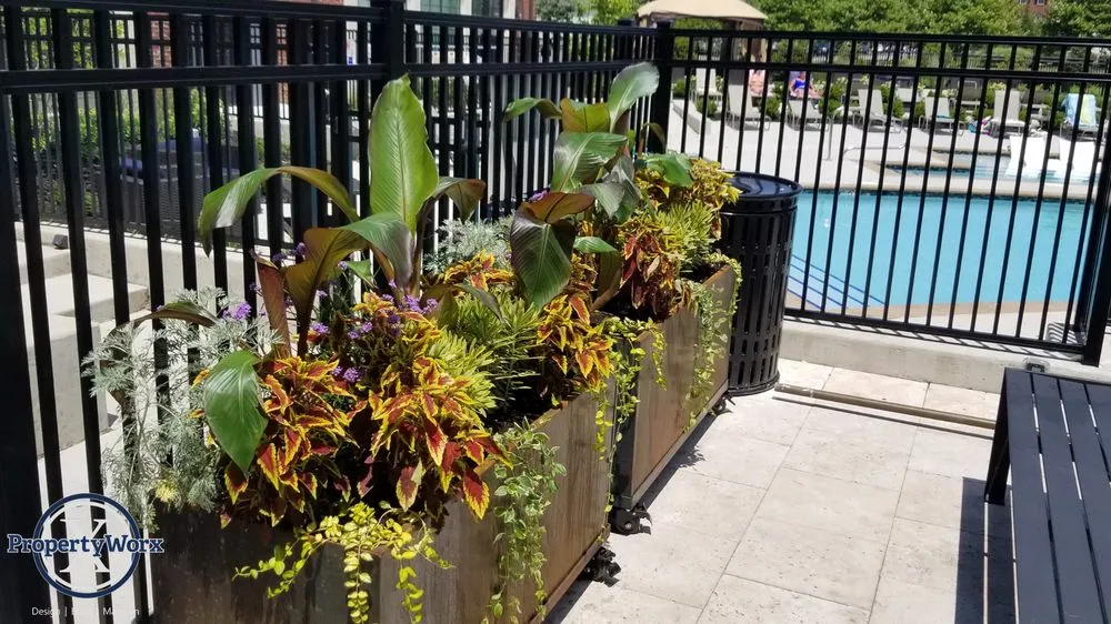 Professional landscaping services for beautiful yards across Delaware, OH - Property Worx