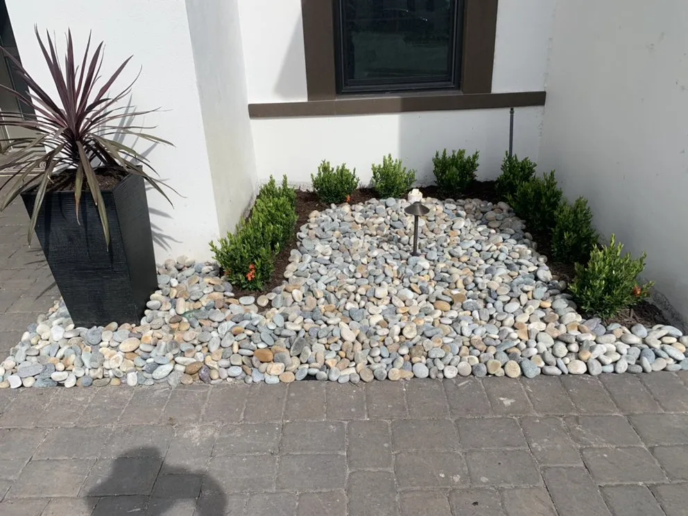 Expert lawn care service in Naples, FL - Prophete Eagle Lawn Maintenance Service