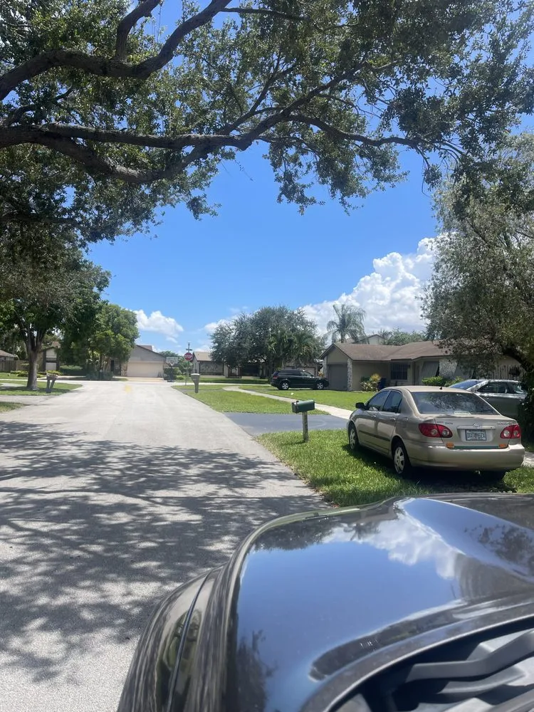 Top-rated landscape installation with custom design in Miami Gardens, FL by Prophete Luxury landscape