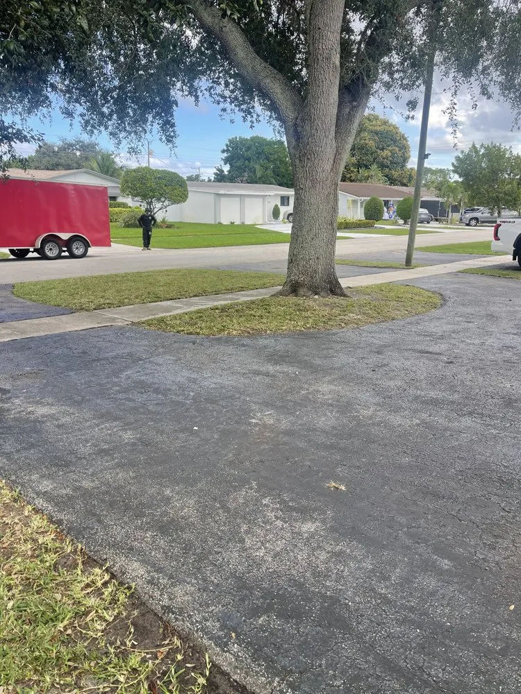 Local landscaping services for residential properties in Miami Gardens, FL by Prophete Luxury landscape