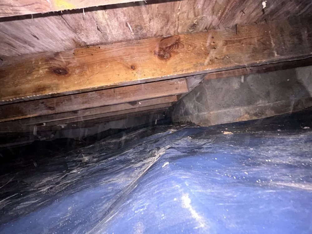 Affordable yard maintenance in Kannapolis, NC by Proplan