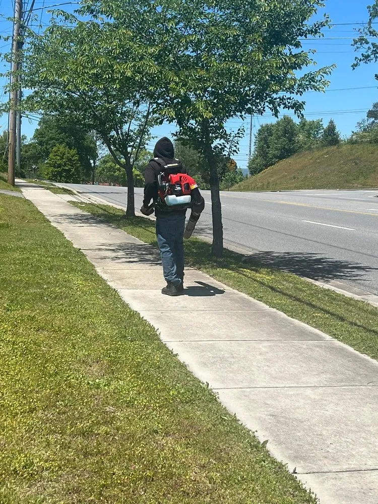 Expert outdoor landscaping experts serving Chattanooga, TN - PROPS Property Services