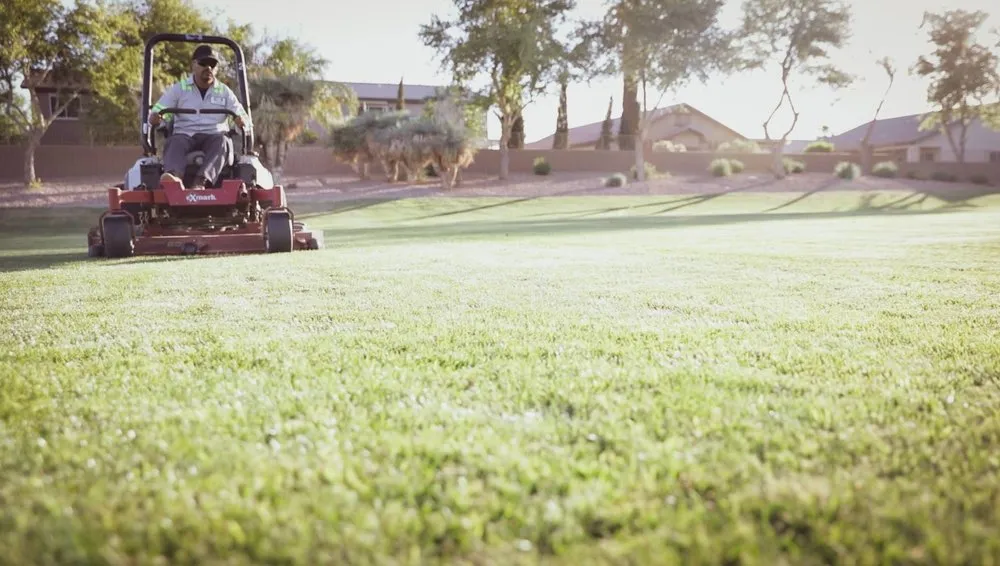 Trusted landscape installation experts serving Tempe, AZ - ProQual Landscaping
