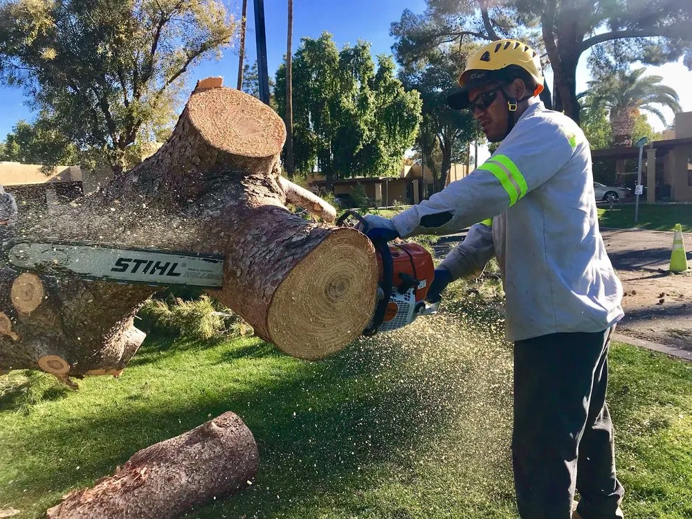 Trusted landscaping services for beautiful yards in Tempe, AZ by ProQual Landscaping