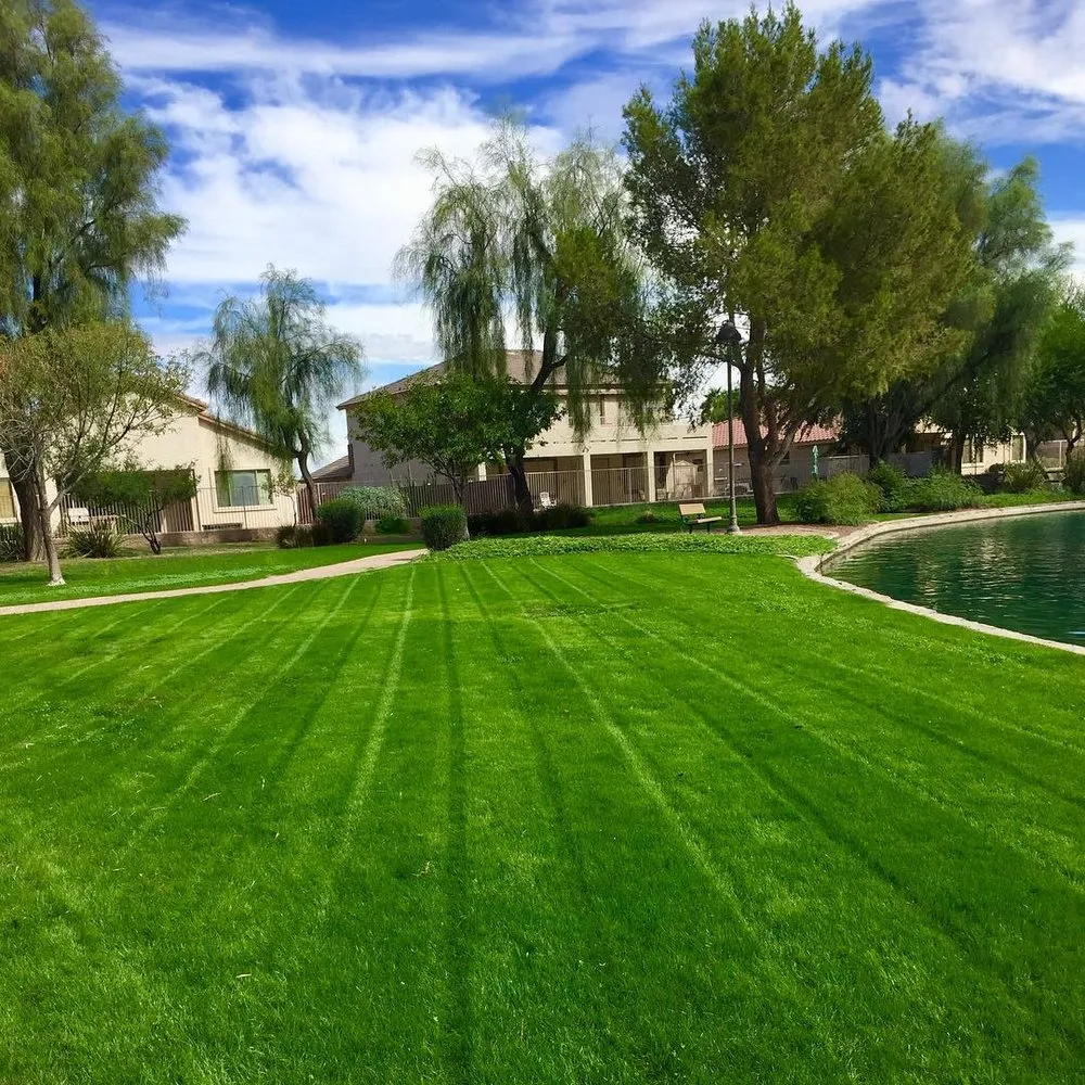 Expert outdoor landscaping for year-round maintenance across Tempe, AZ - ProQual Landscaping