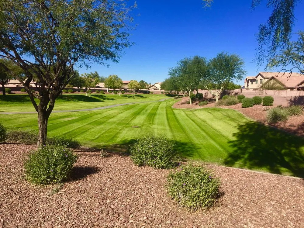 Reliable outdoor landscaping for outdoor upgrades in Tempe, AZ by ProQual Landscaping