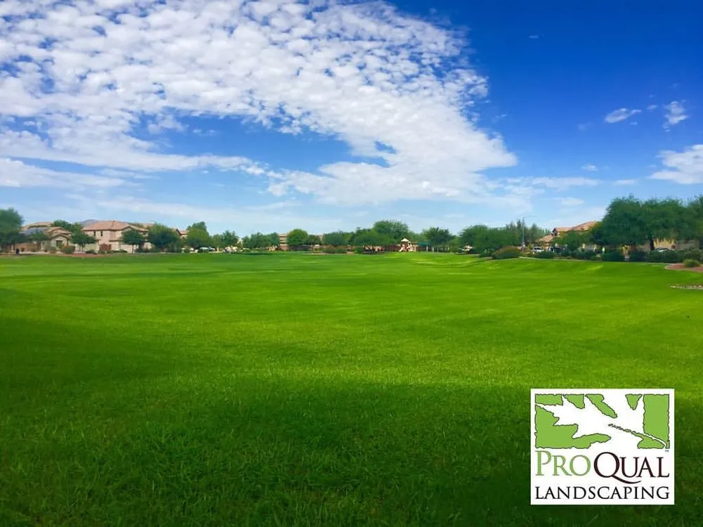 Affordable lawn care service in Tempe, AZ by ProQual Landscaping