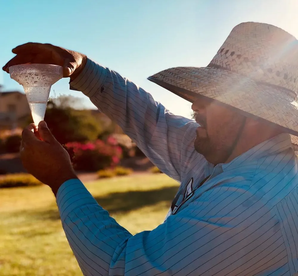 Custom lawn mowing service in Tempe, AZ by ProQual Landscaping