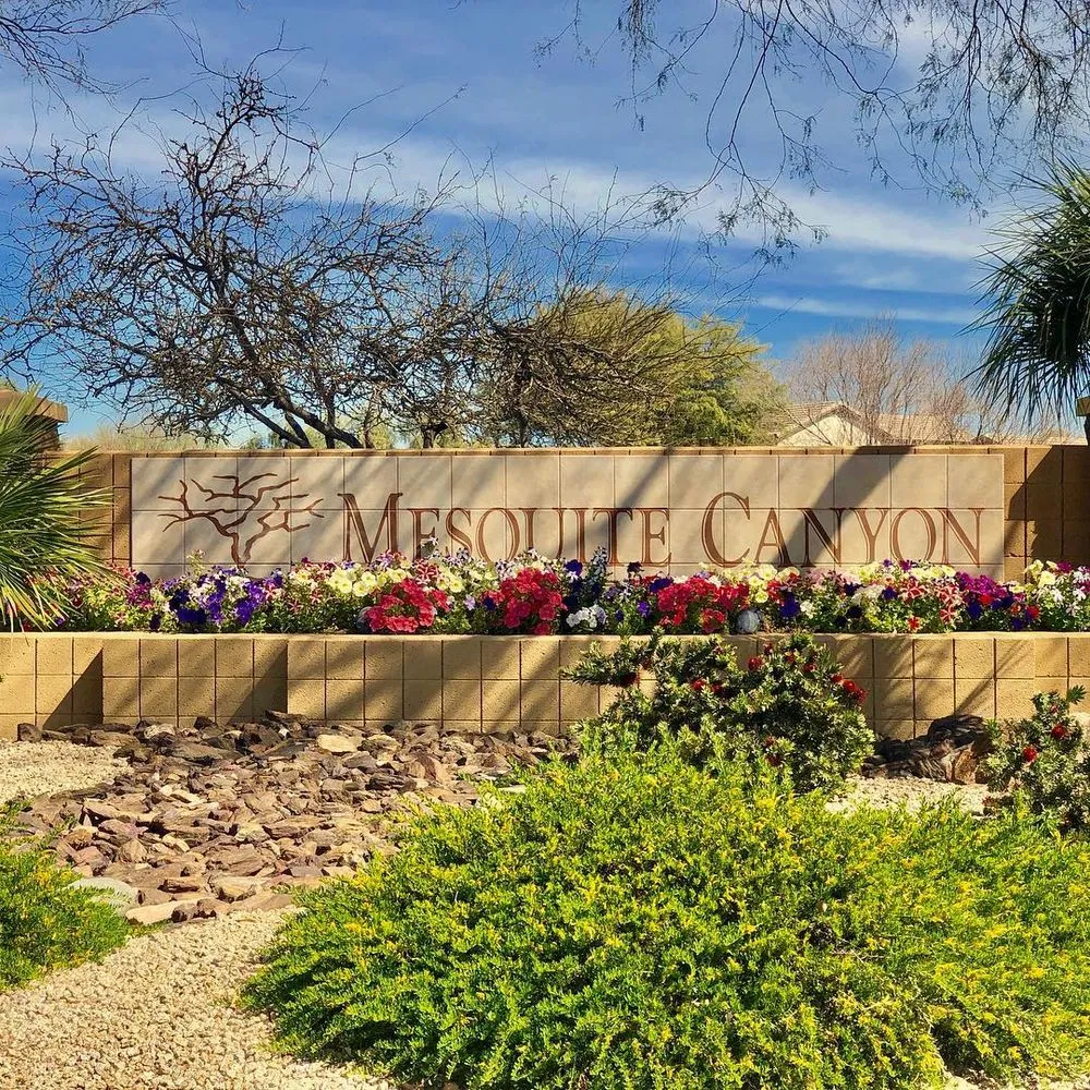 Expert yard maintenance in Tempe, AZ by ProQual Landscaping
